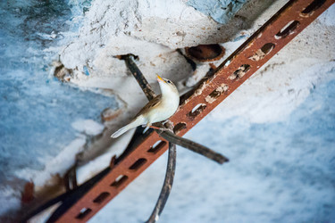 Similar image 19742289