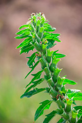 Similar image 19582692