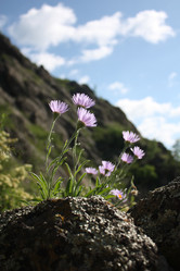 Similar image 19606724