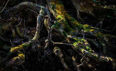 Similar image 19606736