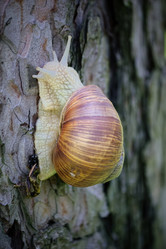 Similar image 19742946