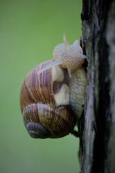 Similar image 19742950