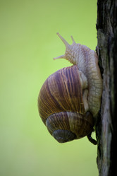 Similar image 19742955