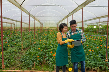 Similar image 19584393