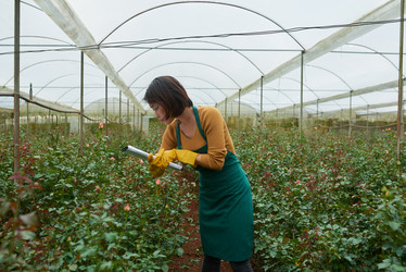 Similar image 19584395