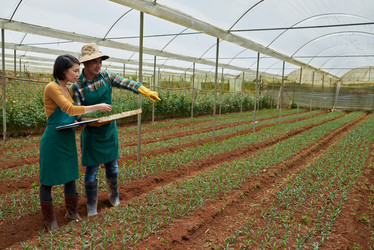 Similar image 19584412