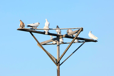 Similar image 19607628