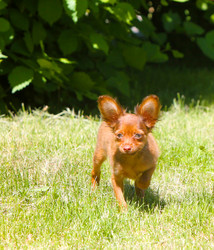 Similar image 19607685