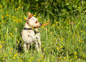 Similar image 19607719