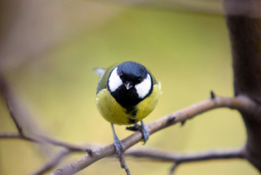 Similar image 19607731