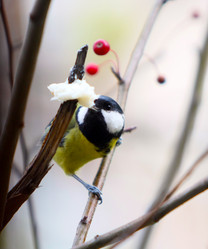 Similar image 19607764