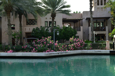 Similar image 19607155