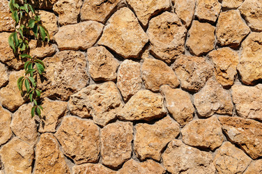 Similar image 19607471