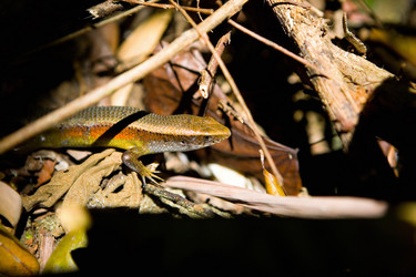 Similar image 19608247