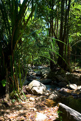 Similar image 19608248