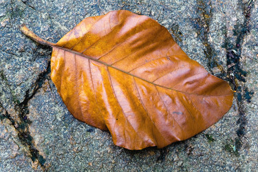 Similar image 19608250