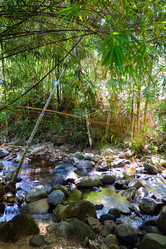 Similar image 19608263