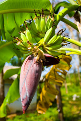 Similar image 19608264