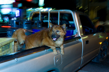 Similar image 19608251