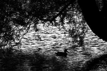 Similar image 19608255