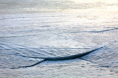 Similar image 19608257