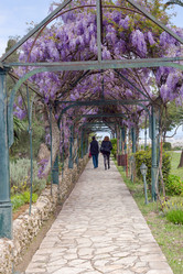 Similar image 19607370