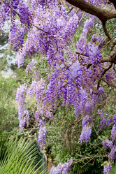 Similar image 19607373