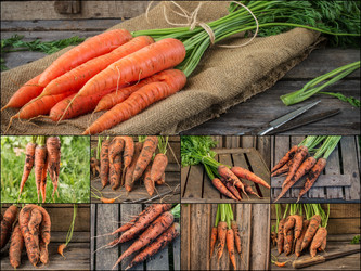 Similar image 19743350