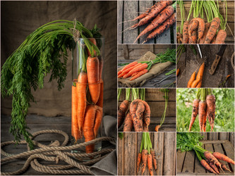 Similar image 19743352