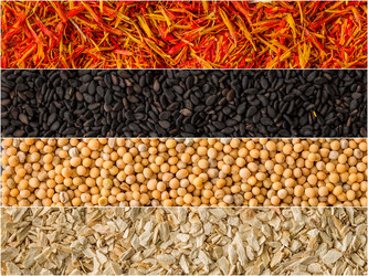 Similar image 19743372