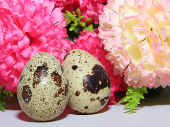 Similar image 19606743