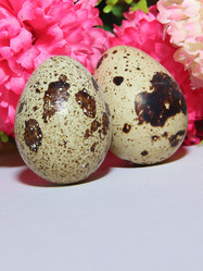 Similar image 19606746