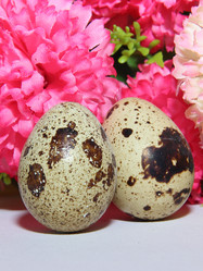 Similar image 19606749