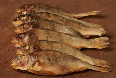 Similar image 19775181