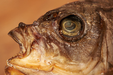 Similar image 19775182