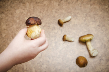 Similar image 19607415