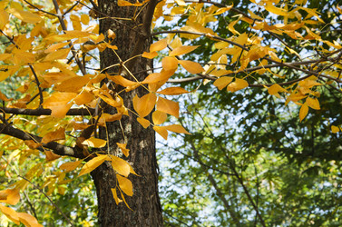 Similar image 19607445