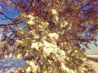 Similar image 19607427