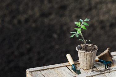 Similar image 19606786