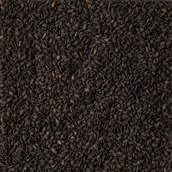 Similar image 19743364