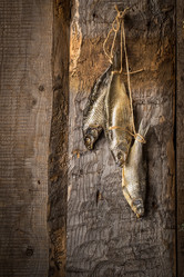 Similar image 19743353