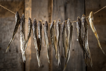 Similar image 19743357