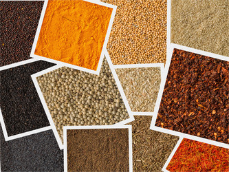 Similar image 19775229