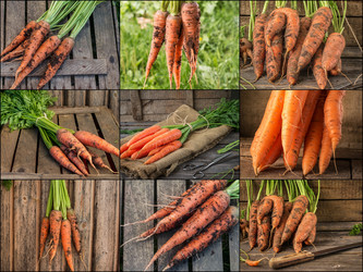 Similar image 19775230