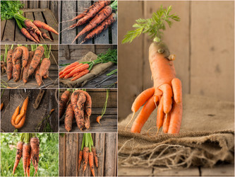 Similar image 19775231