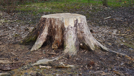 Similar image 19606935