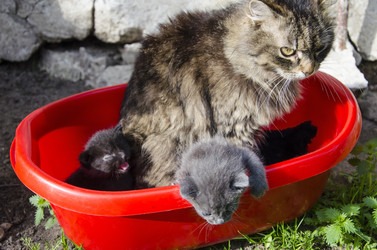 Similar image 19607455