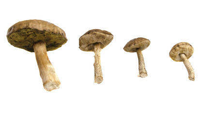 Similar image 19607456