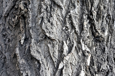 Similar image 19606775