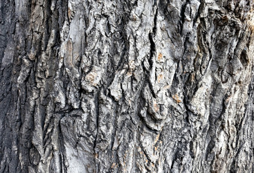 Similar image 19606779